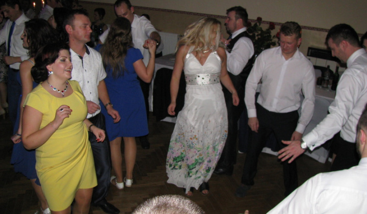 14. fotografia fotogalérie Fašiangový ples 2018